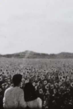 ひまわりのテーマ