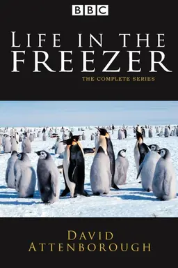 Life in the Freezer Miniseries