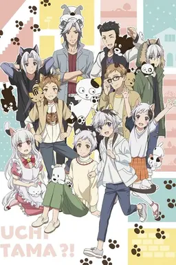 Uchitama?! Have You Seen My Tama? Season 1