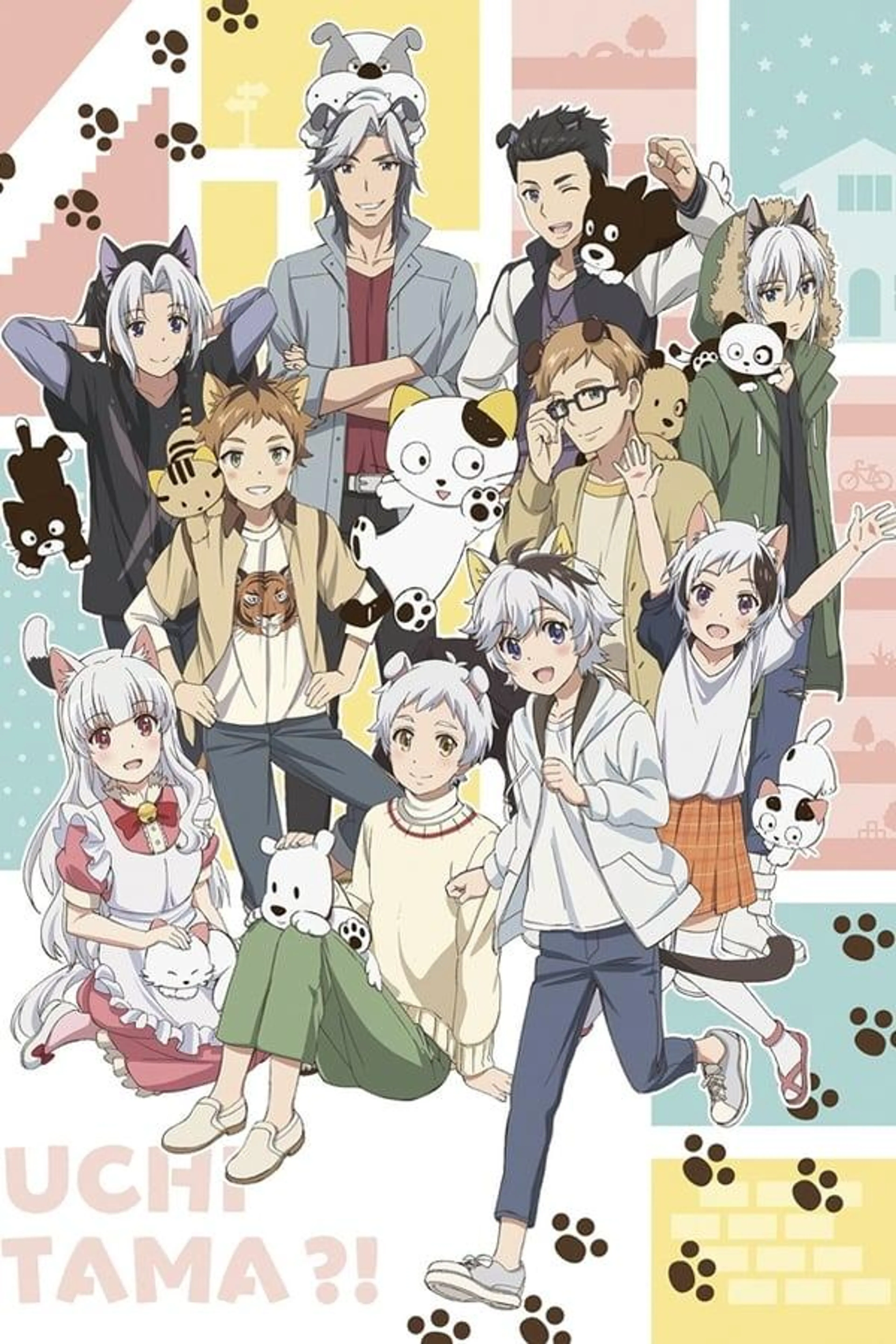 Uchitama?! Have You Seen My Tama? Season 1