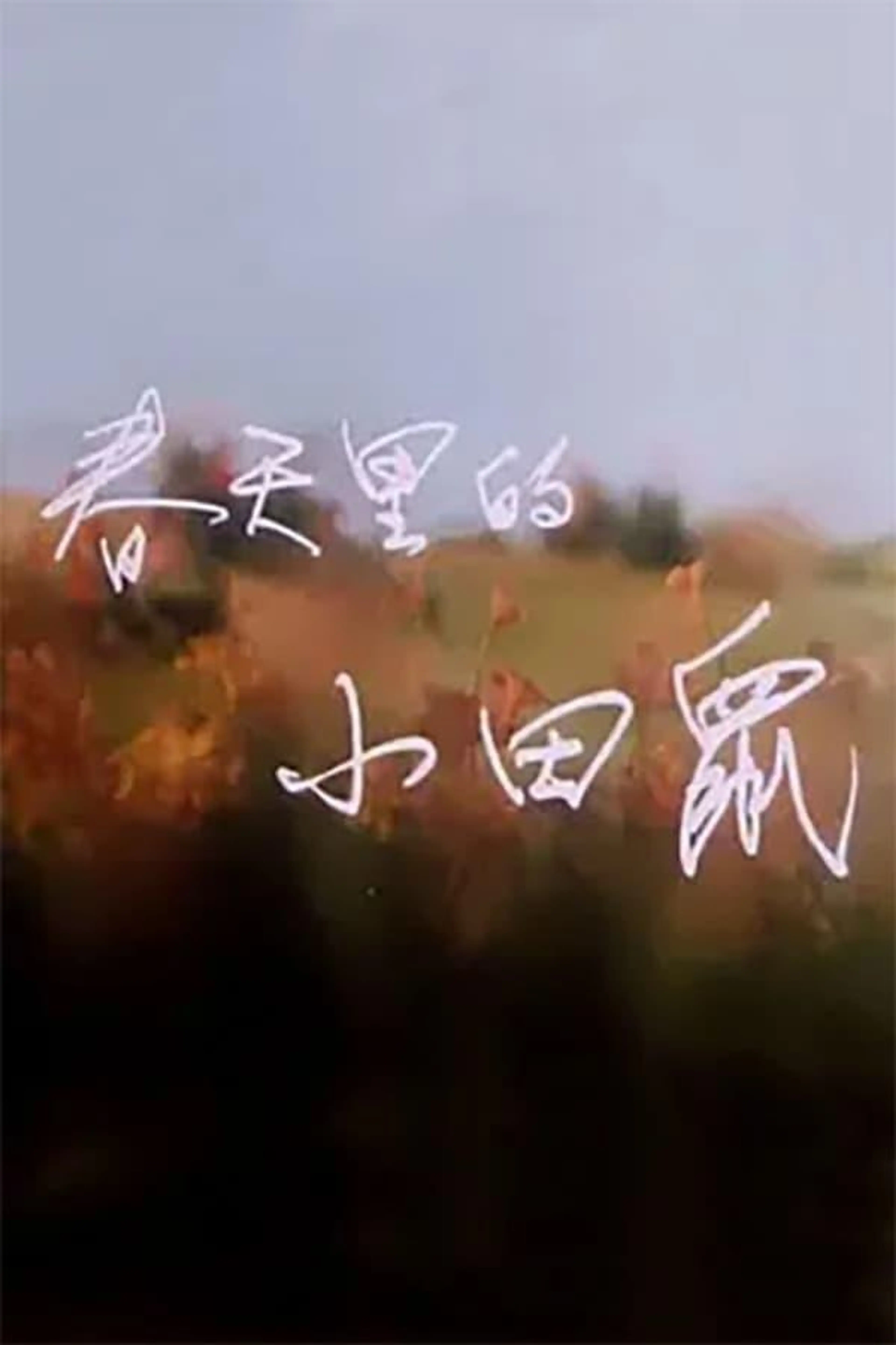 春天里的小田鼠