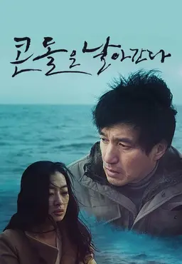 콘돌은 날아간다