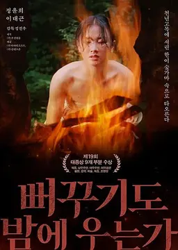 뻐꾸기도 밤에 우는가