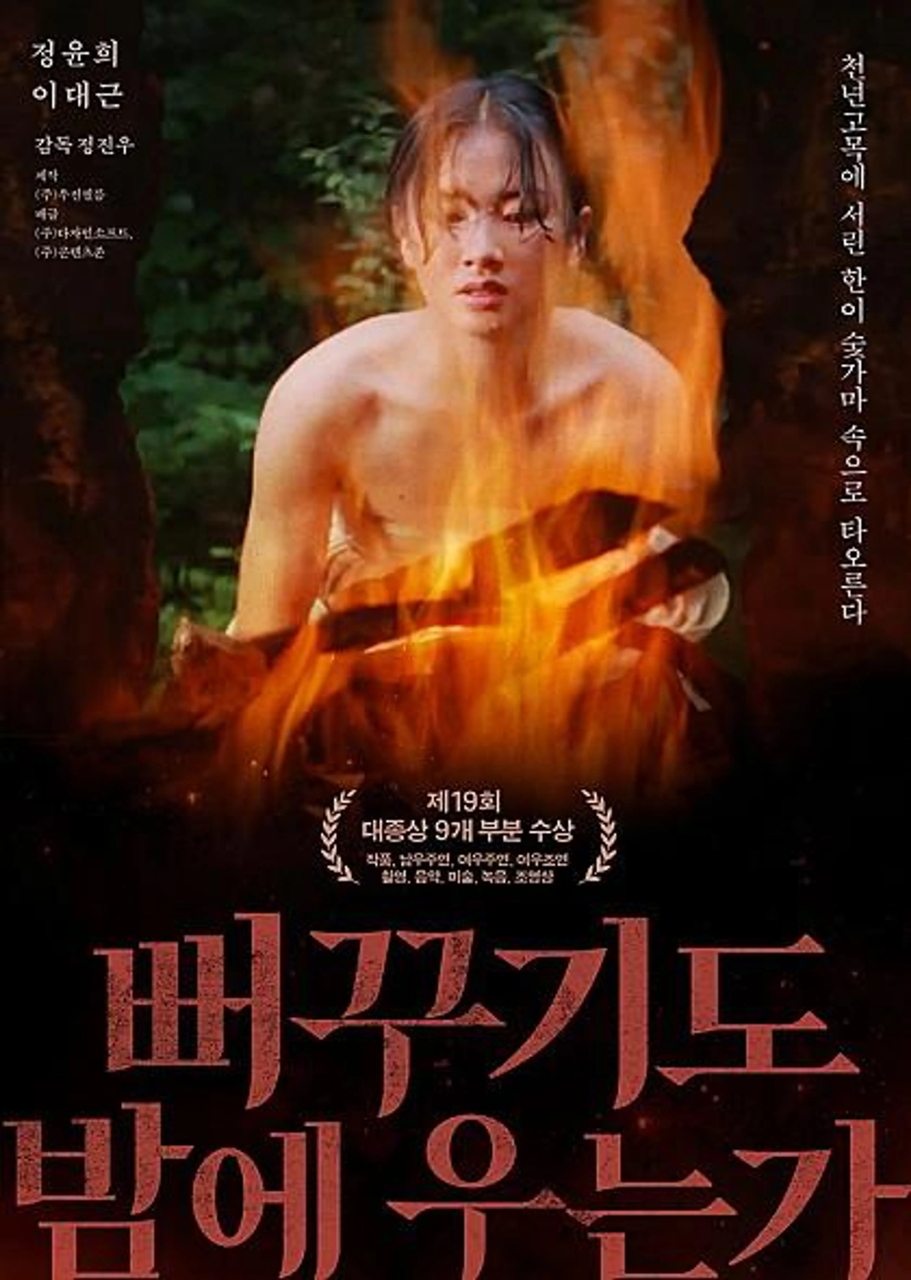 뻐꾸기도 밤에 우는가