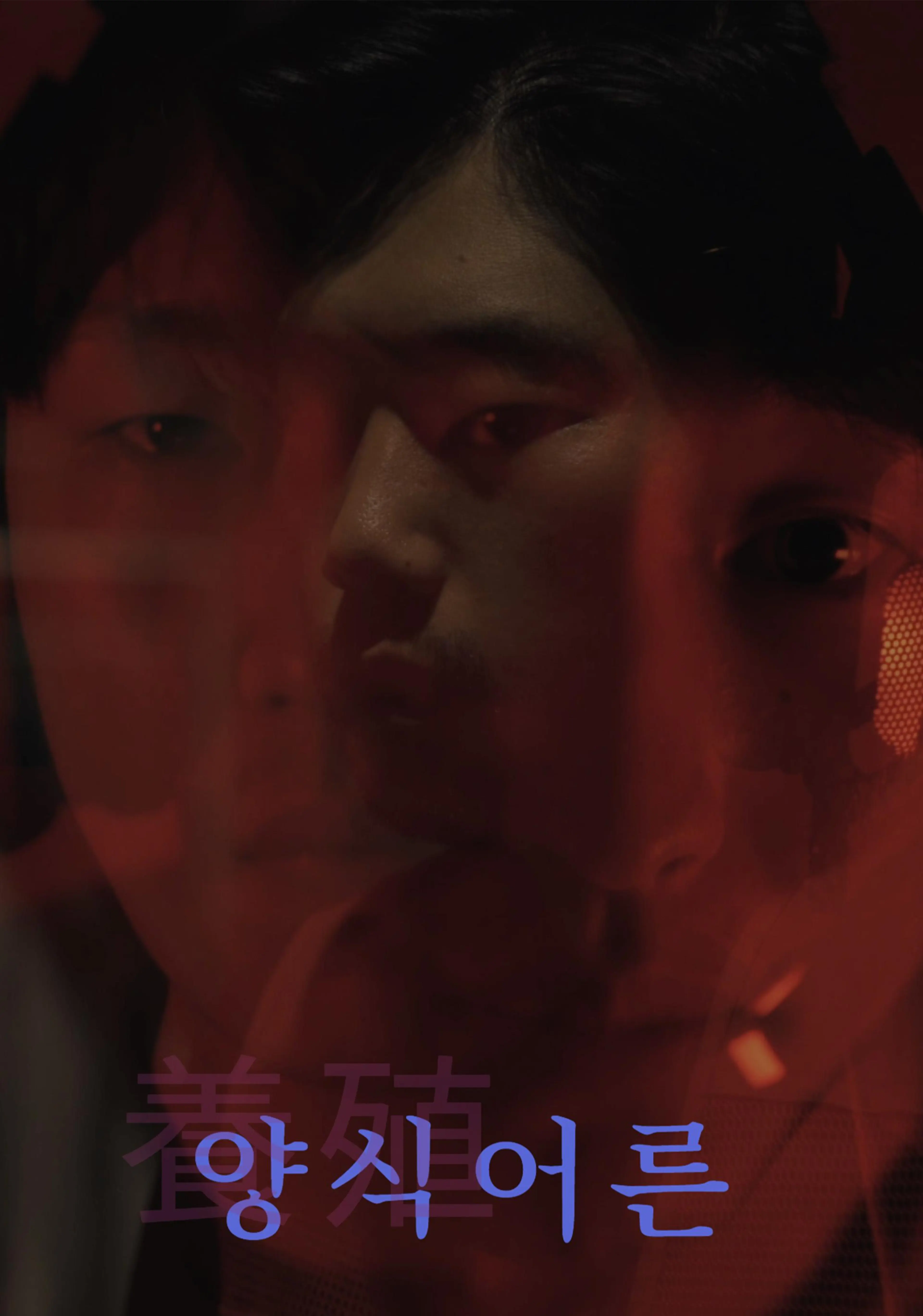 양식어른