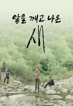 알을 깨고 나온 새