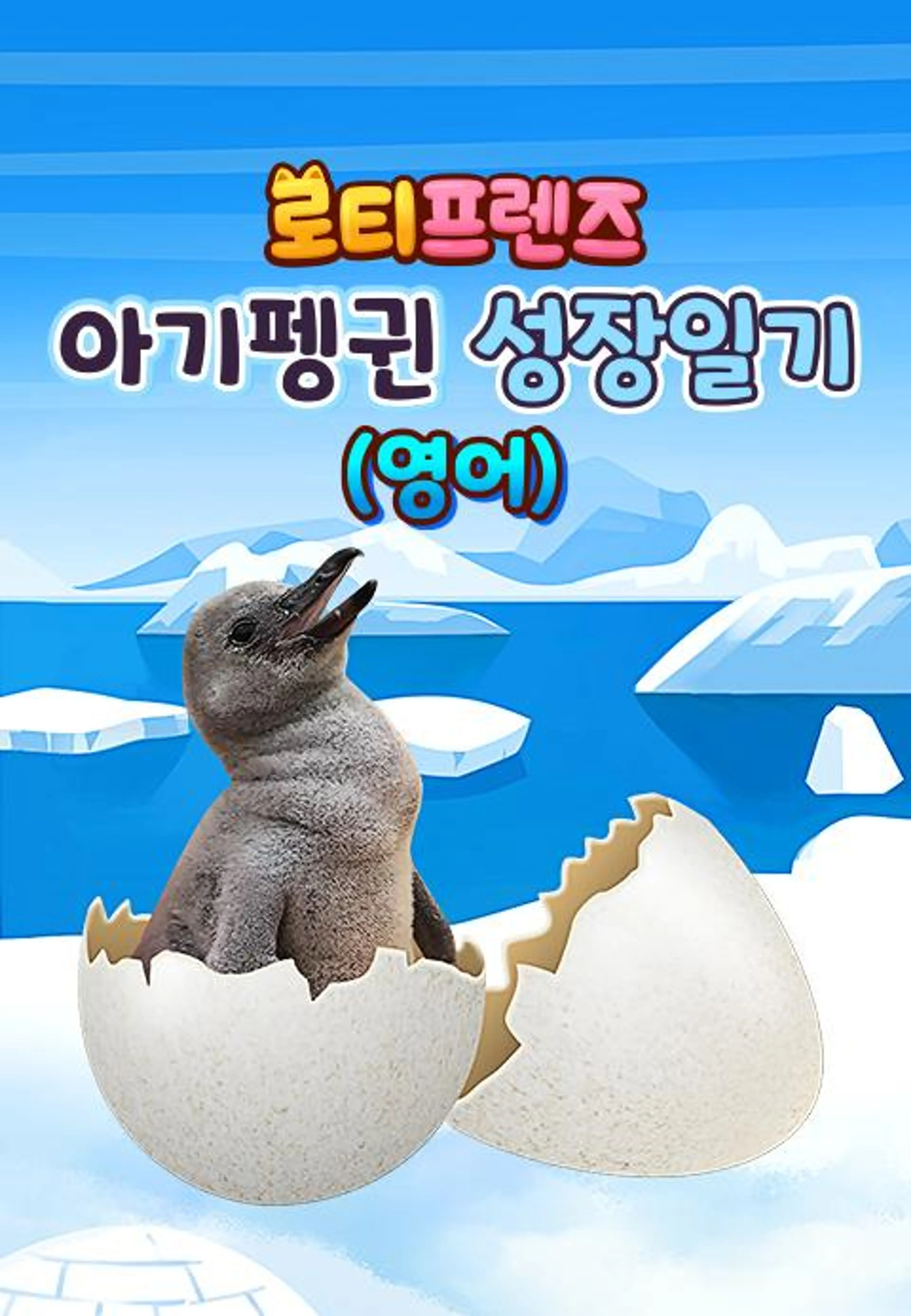 로티프렌즈 아기펭귄 성장일기
