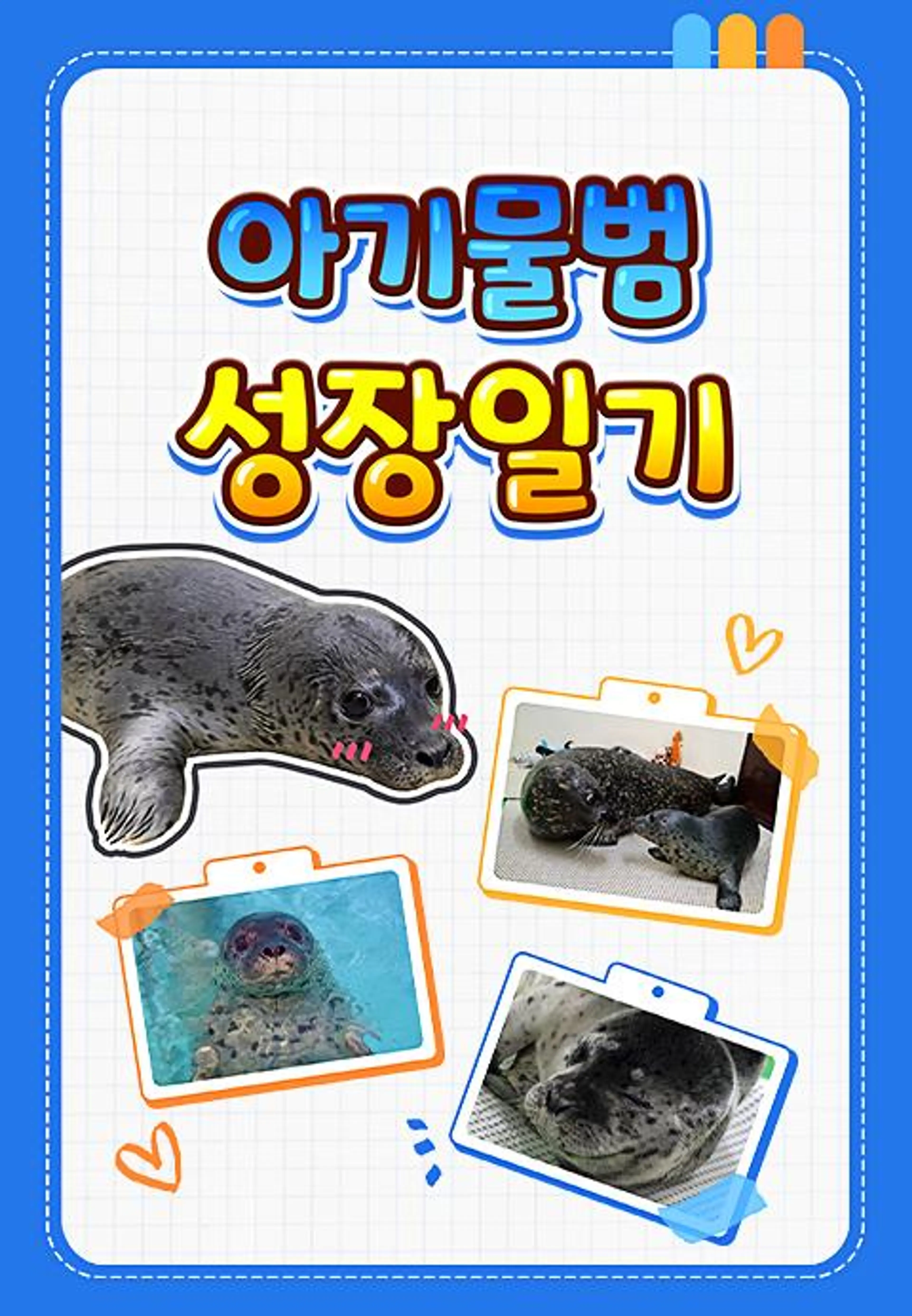 아기물범 성장일기