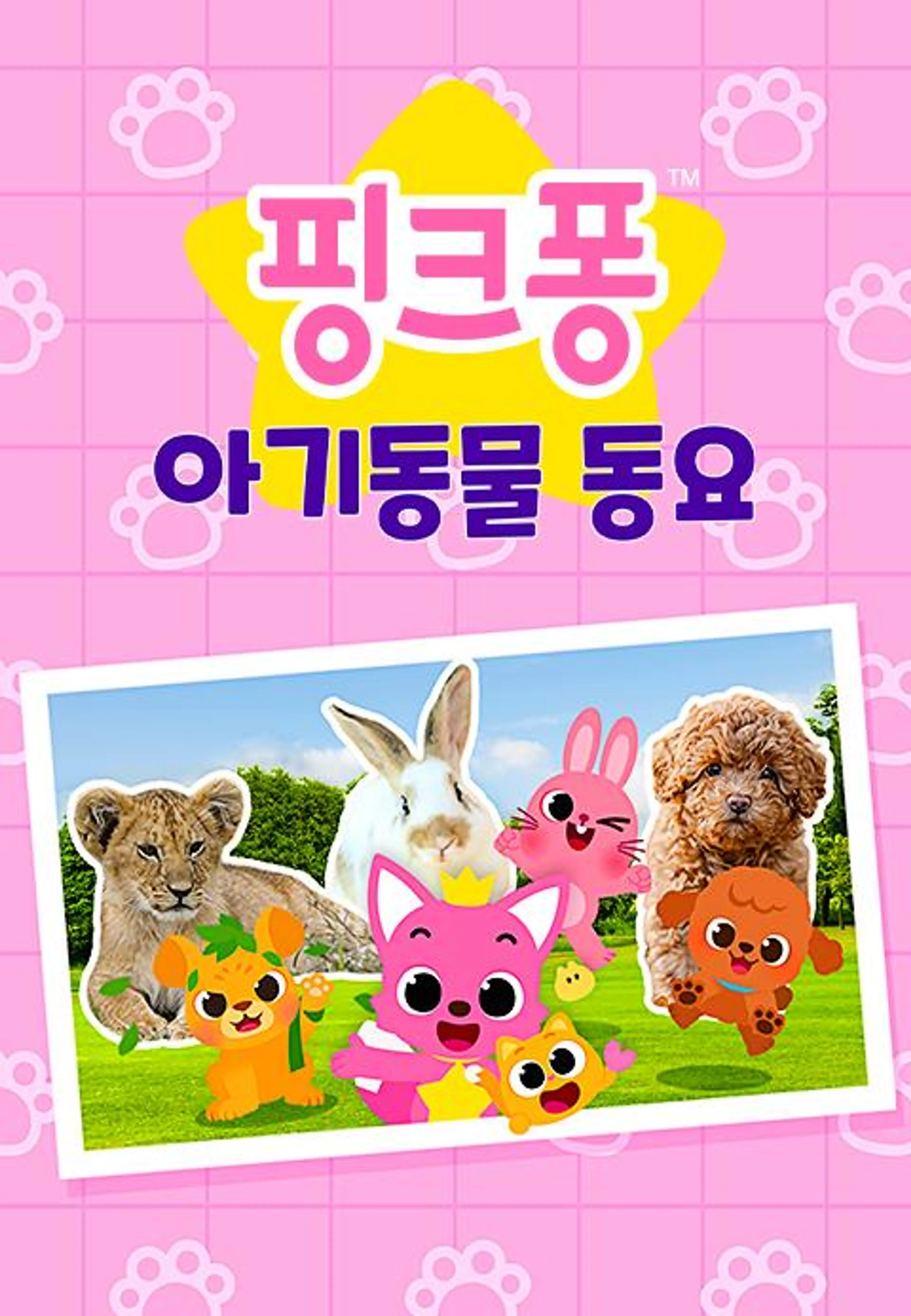 핑크퐁 아기동물 동요