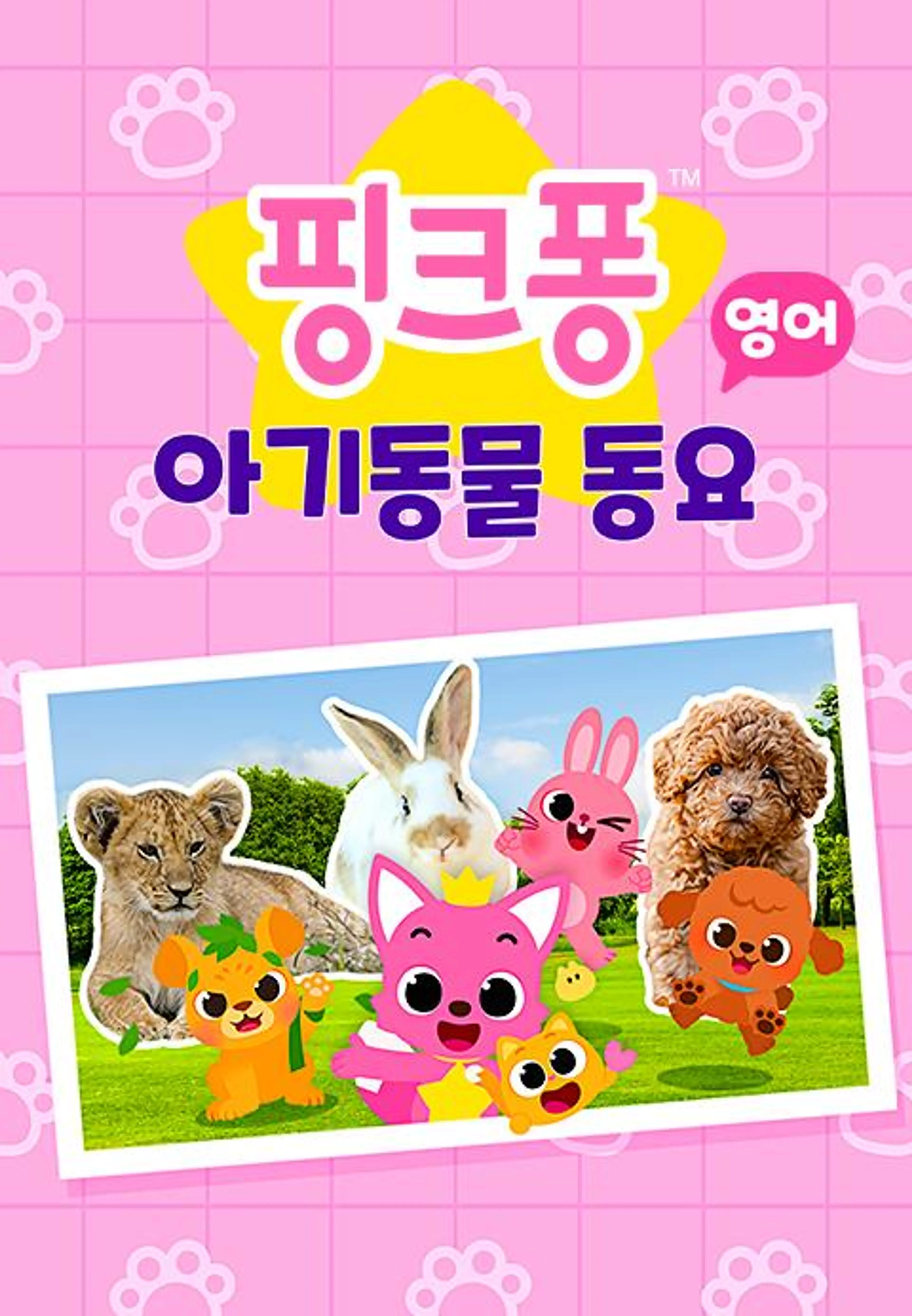 핑크퐁 아기동물 동요
