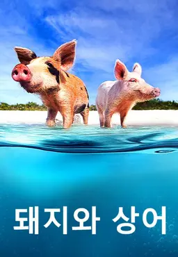 돼지와 상어