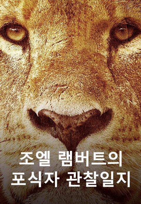 조엘 램버트의 포식자 관찰일지