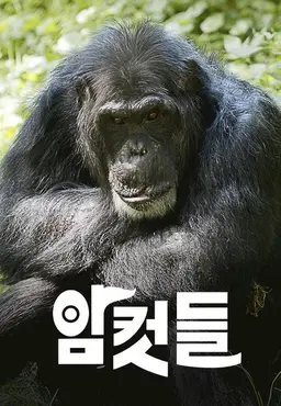 다큐프라임 - 암컷들