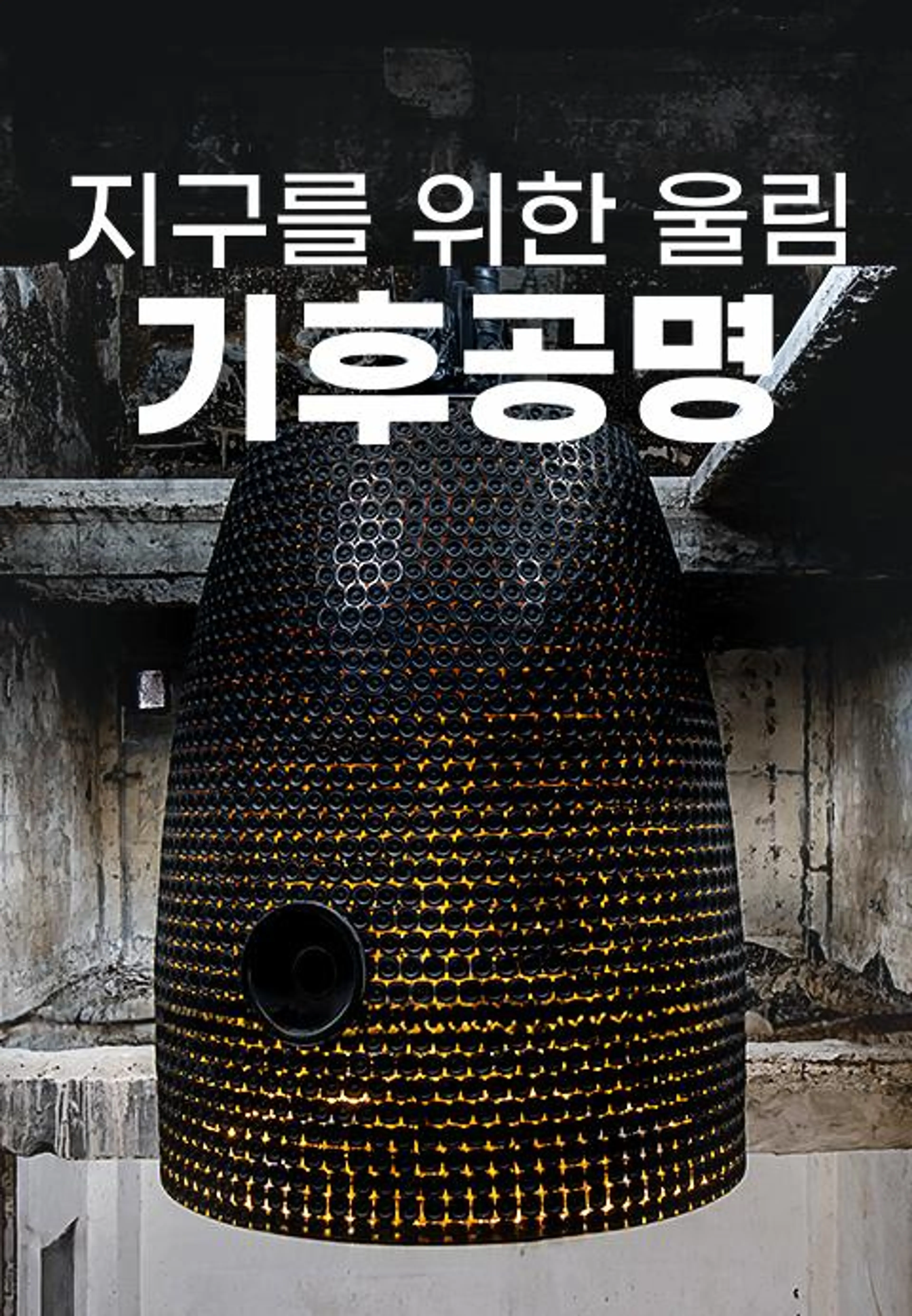 특별기획 지구를 위한 울림, 기후공명