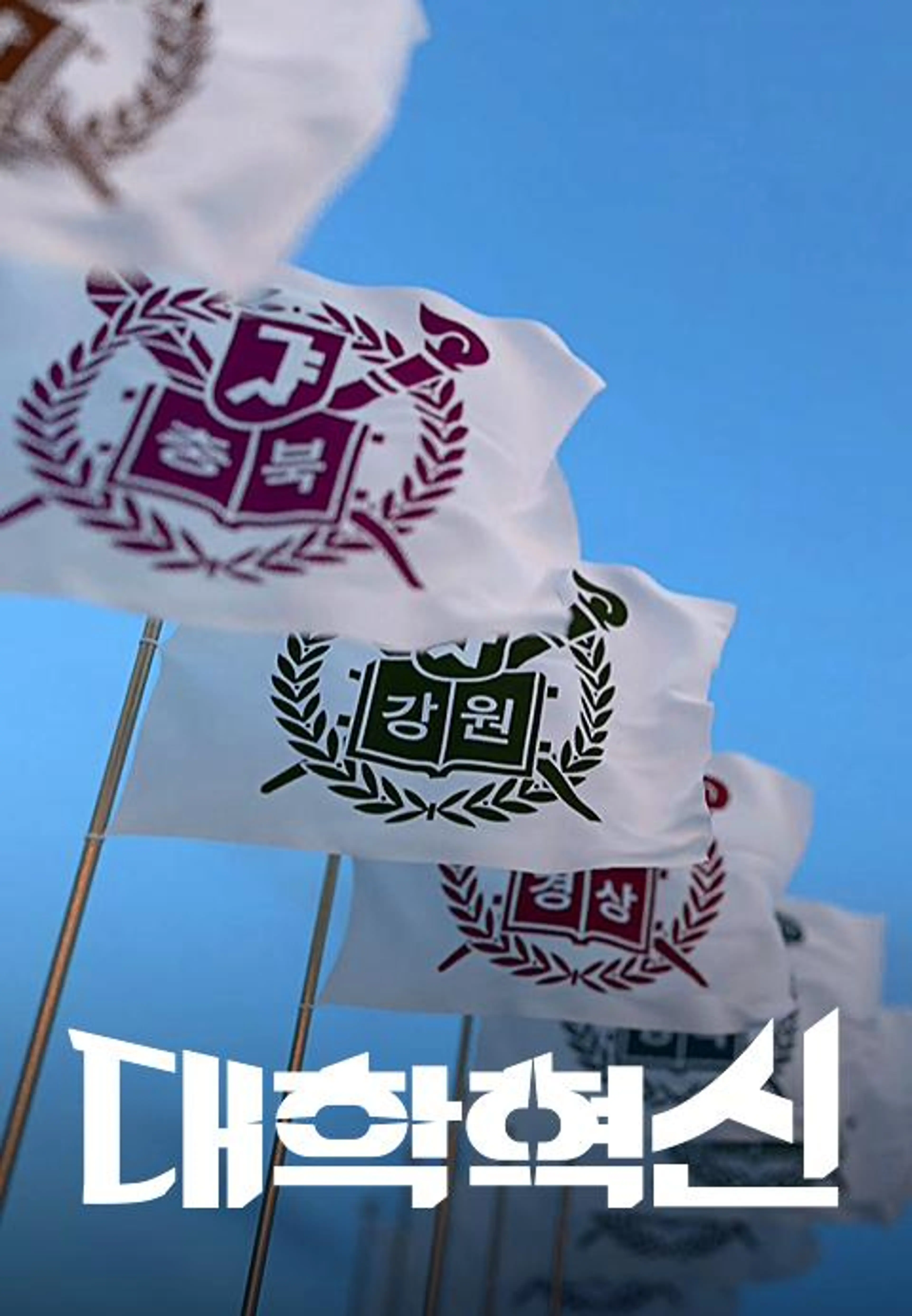 다큐멘터리K - 대학혁신