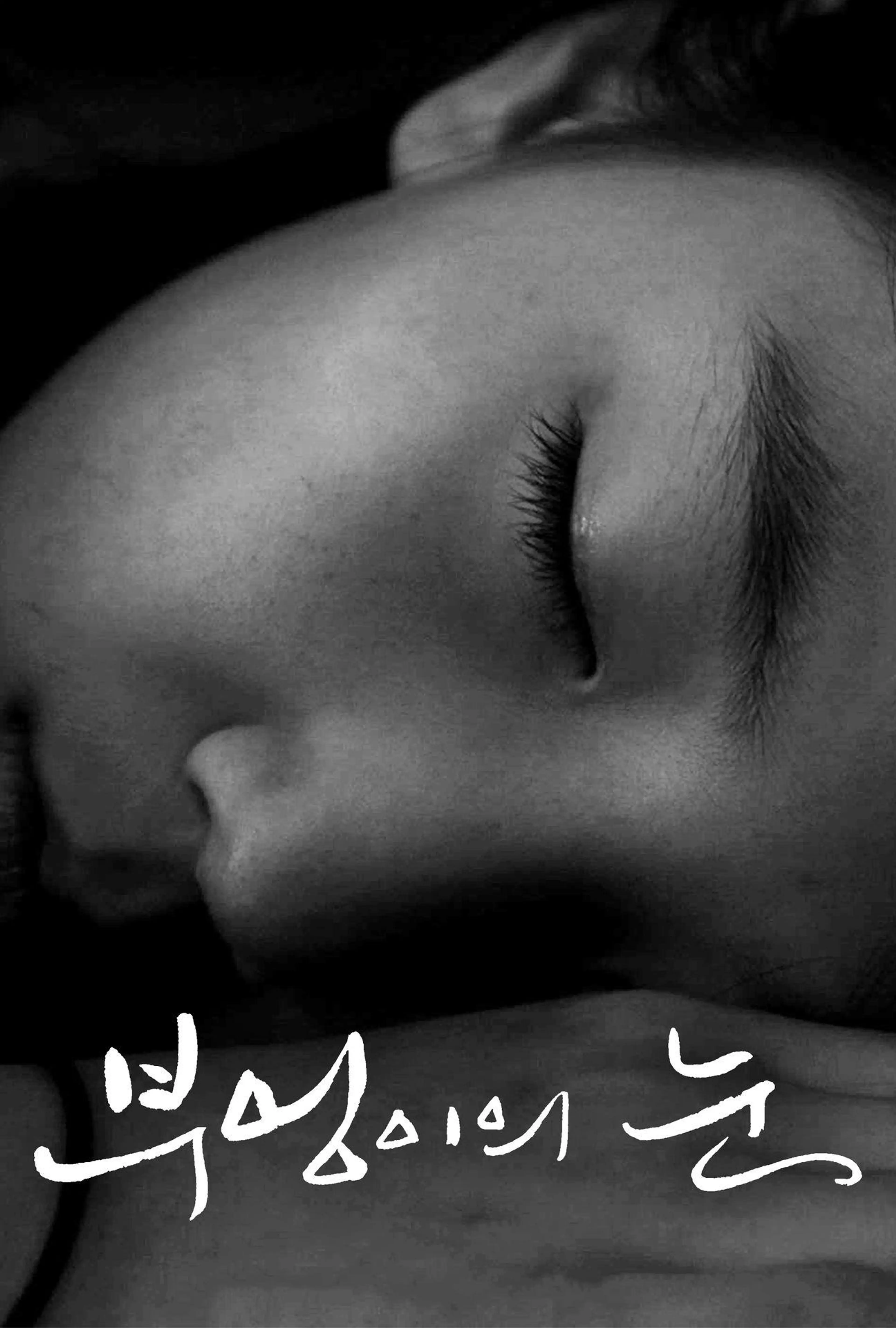 부엉이의 눈