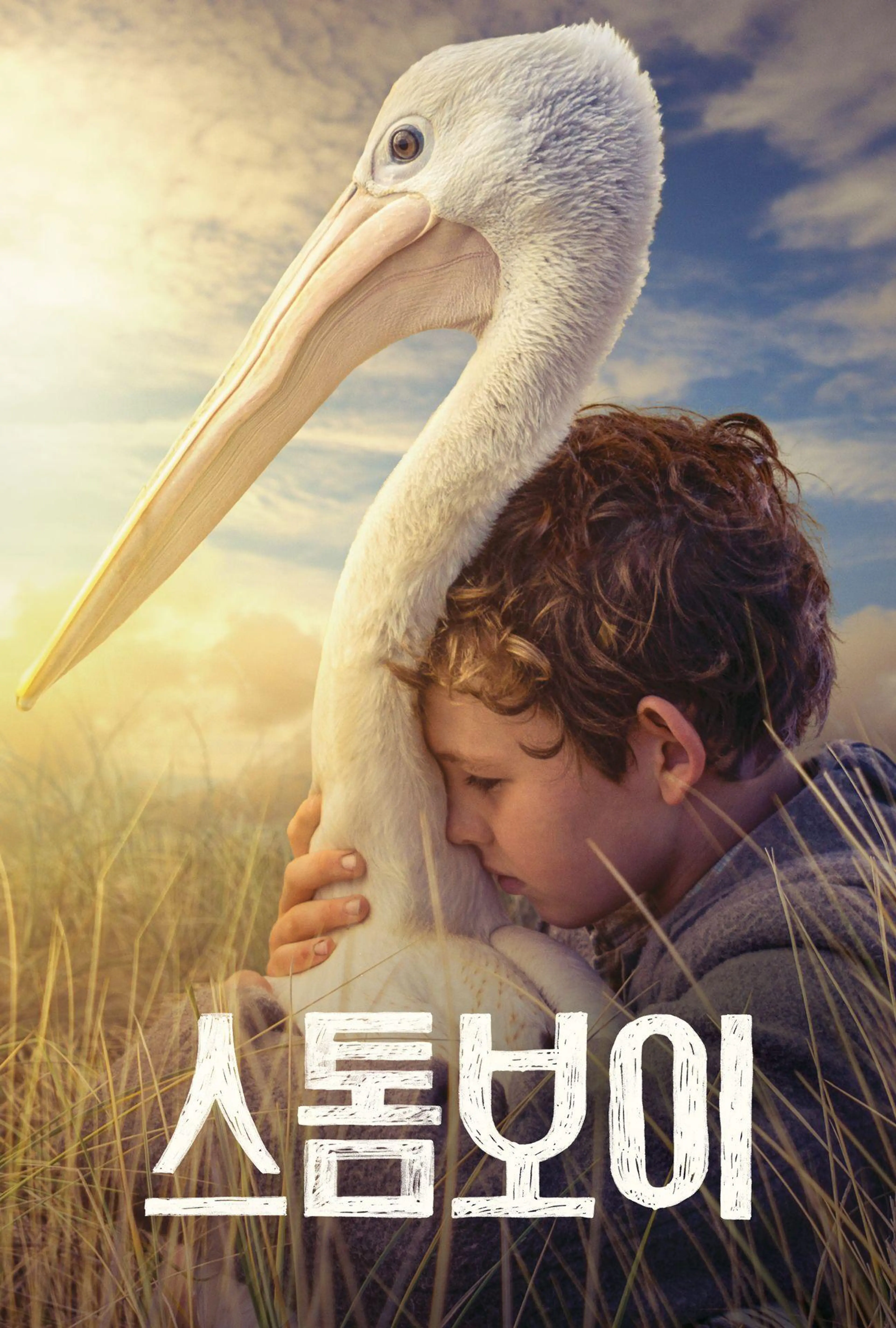 스톰보이