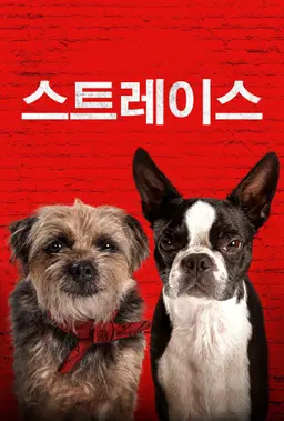 스트레이스