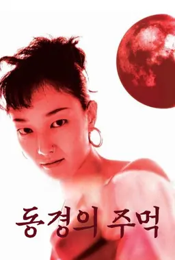 동경의 주먹