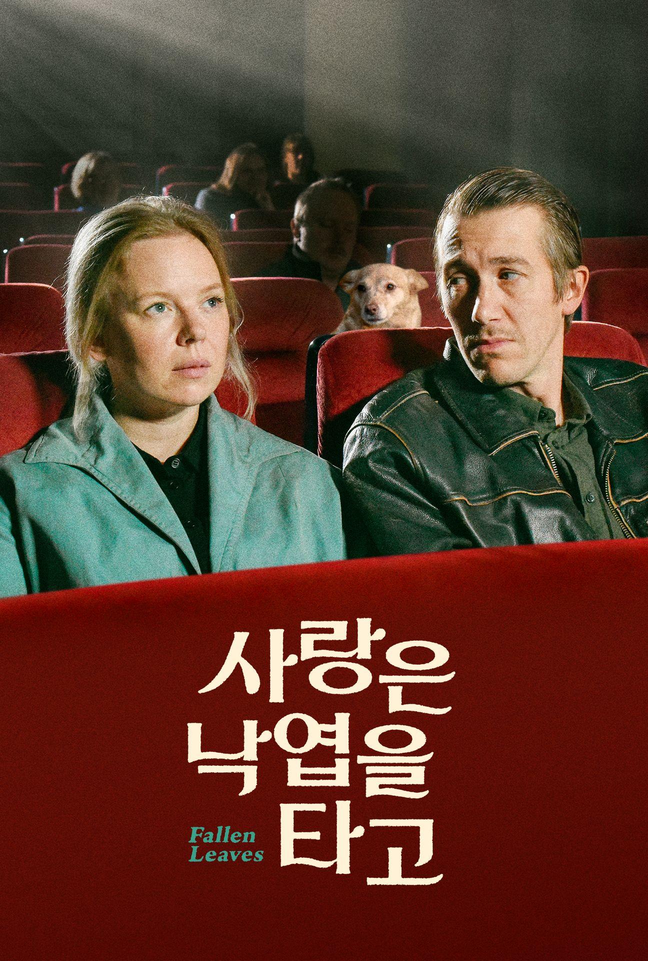 사랑은 낙엽을 타고