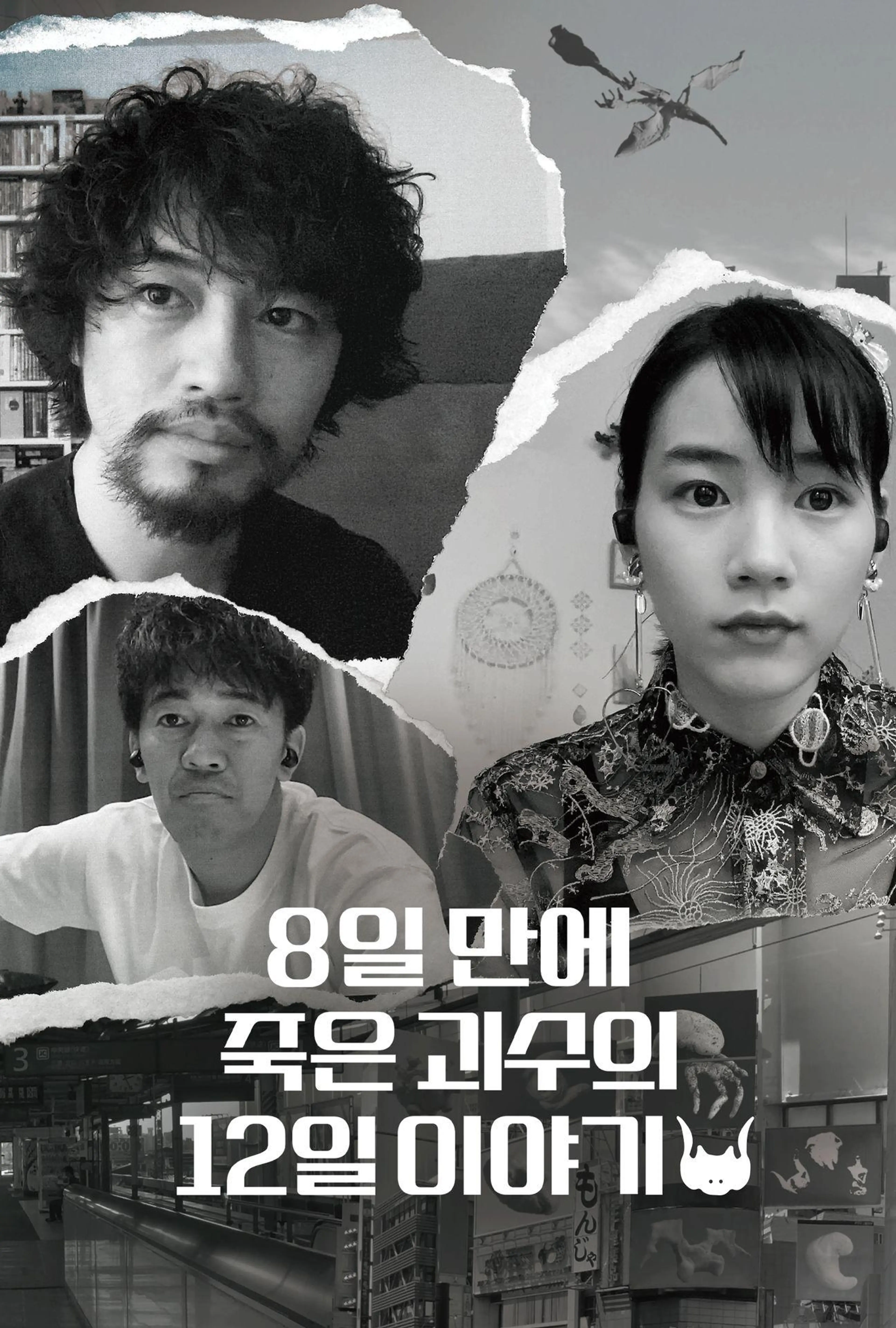 8일 만에 죽은 괴수의 12일 이야기