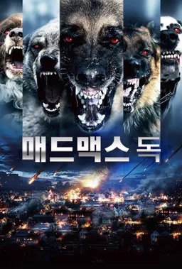 매드맥스 독