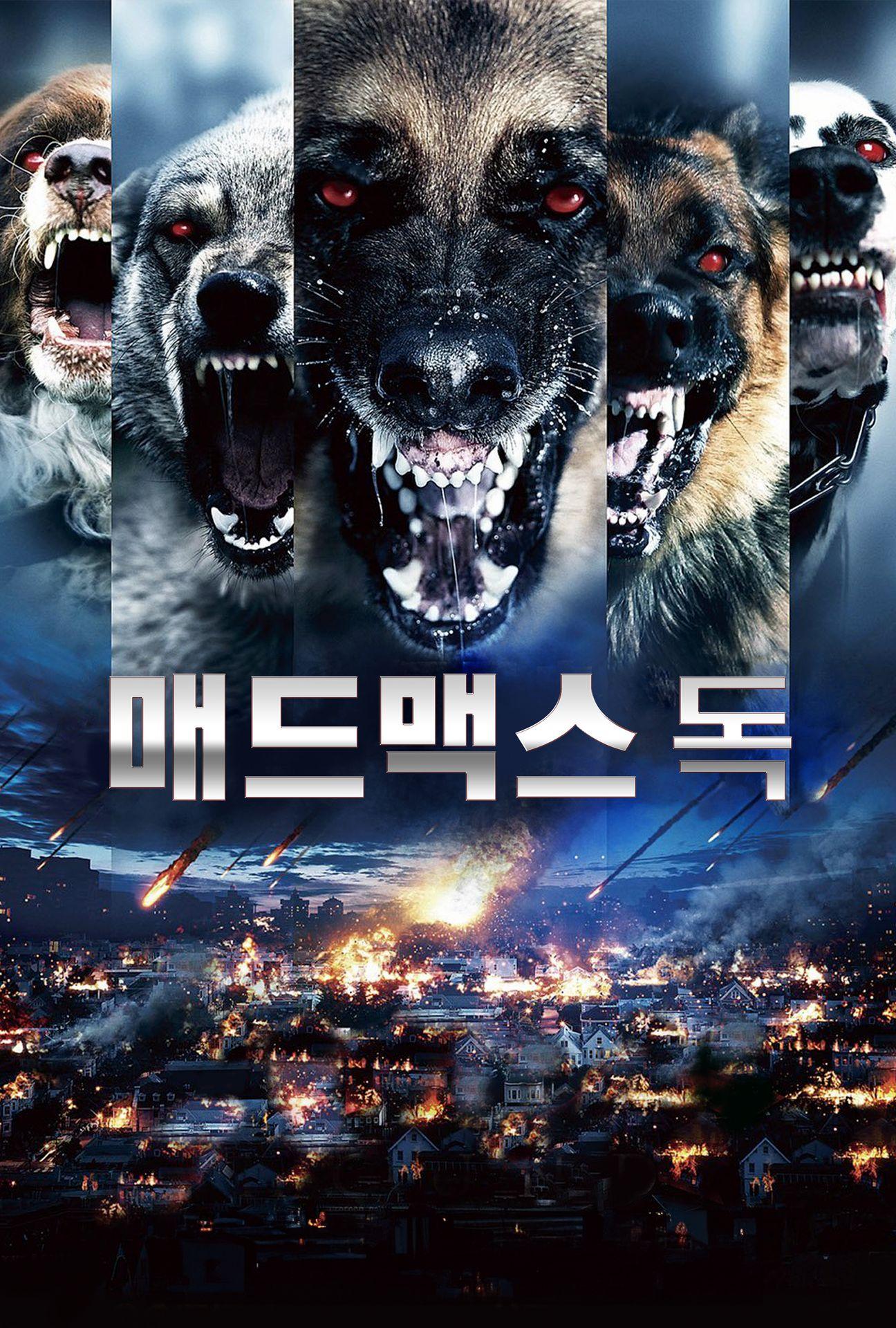 매드맥스 독