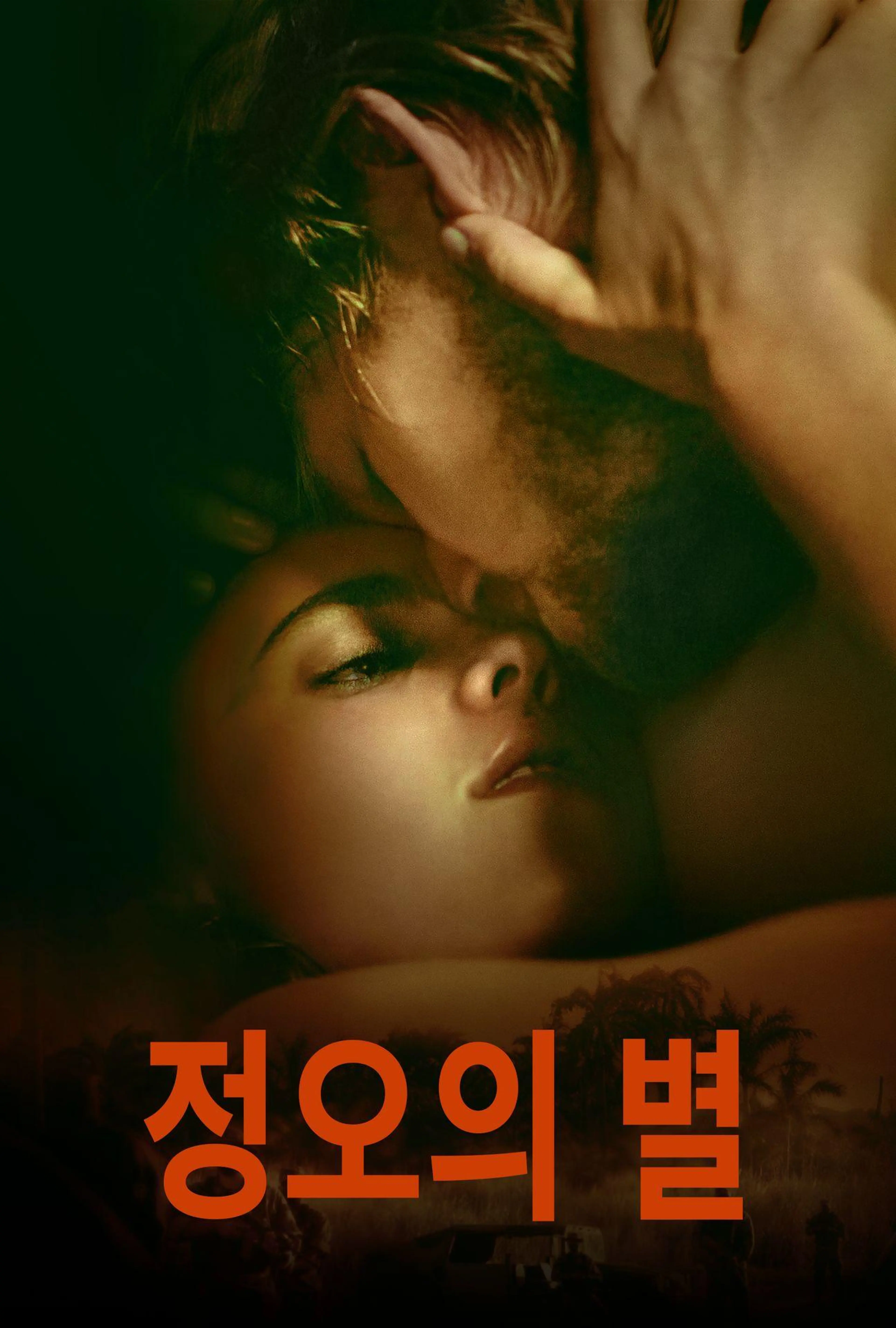 정오의 별