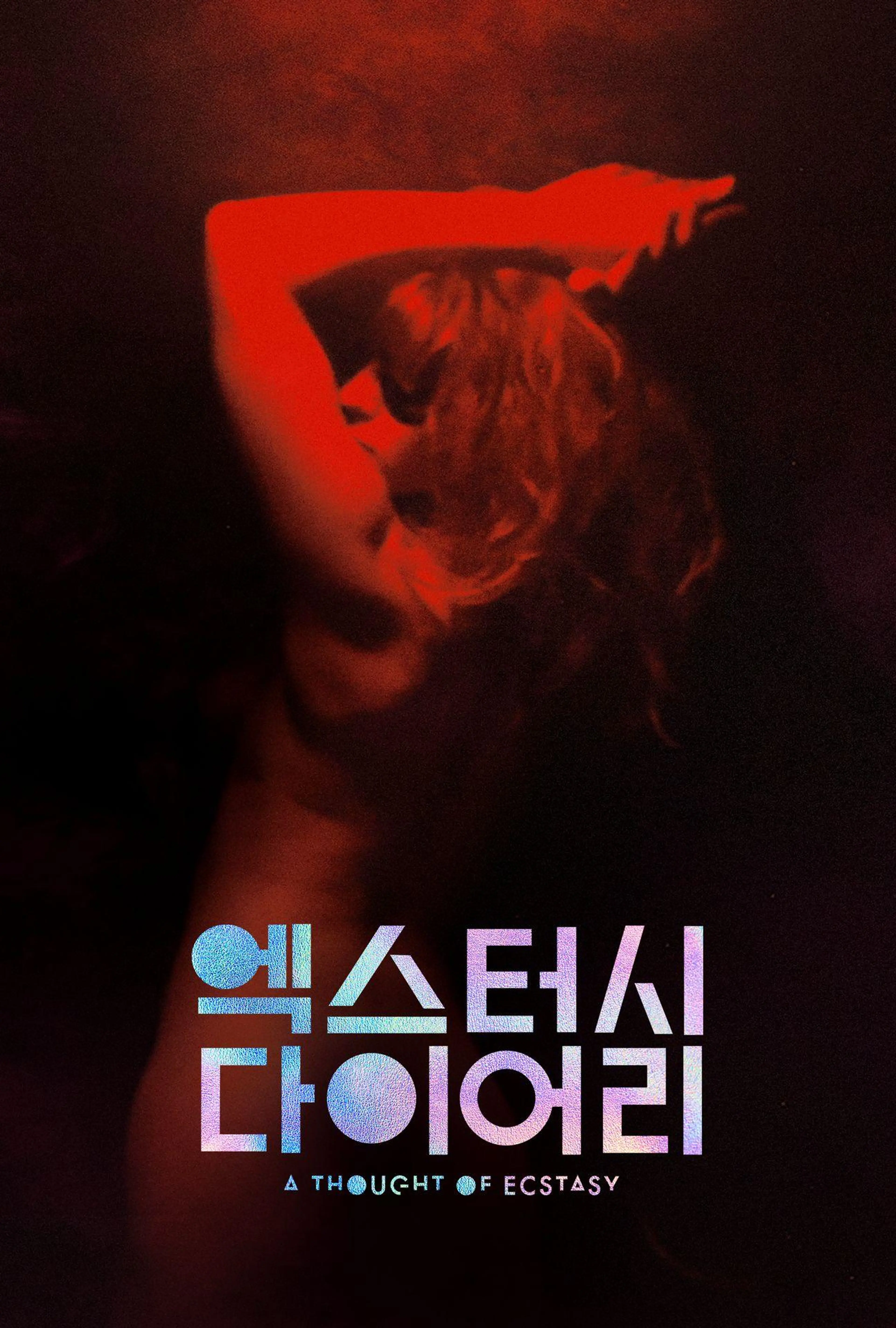엑스터시 다이어리