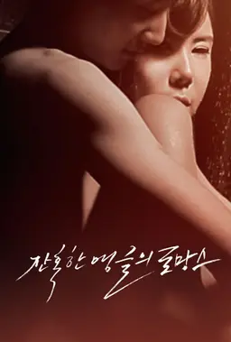 잔혹한 앵글의 로망스