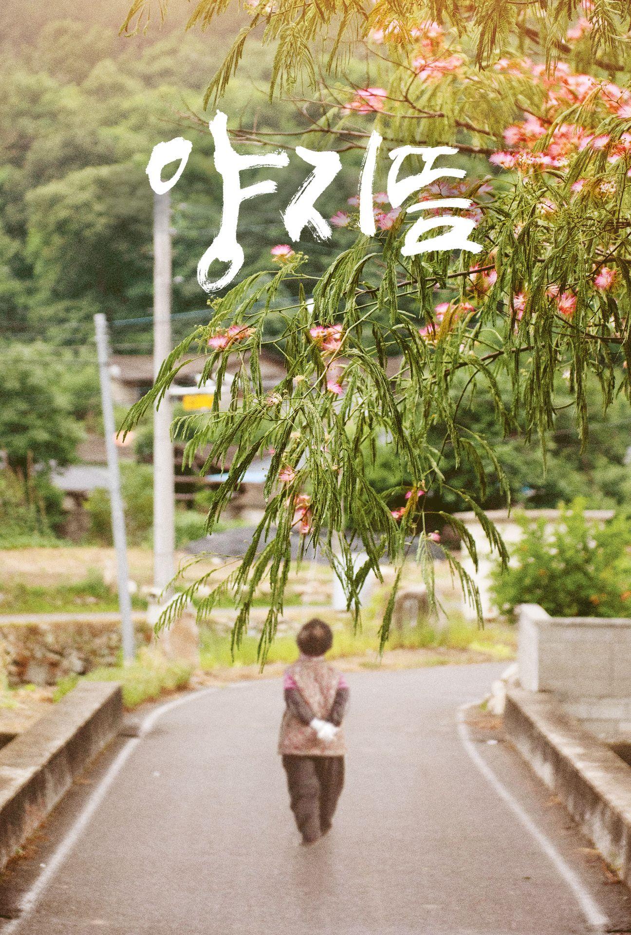 양지뜸
