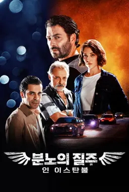 분노의 질주 인 이스탄불