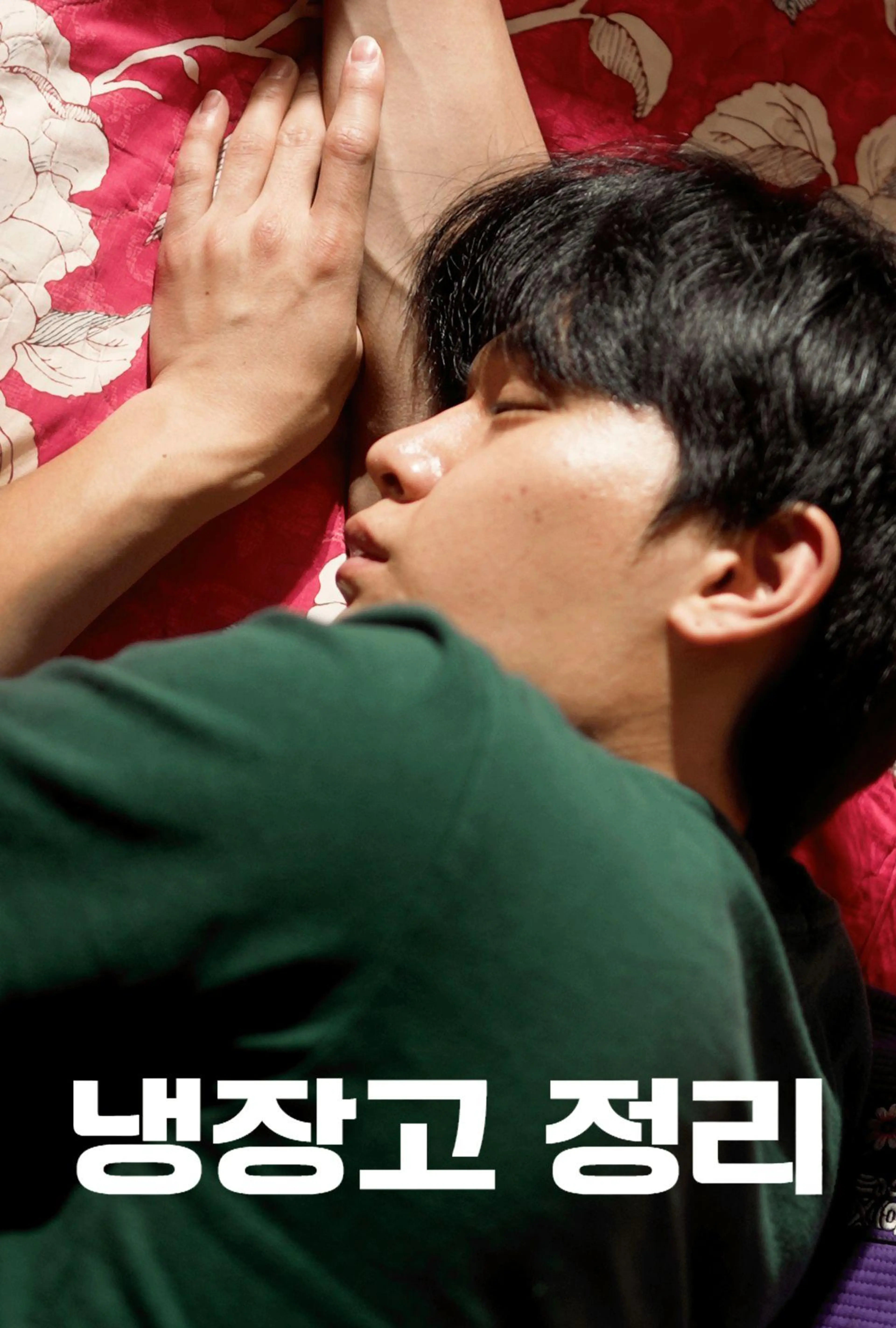 냉장고 정리
