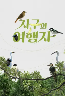 지구의 여행자