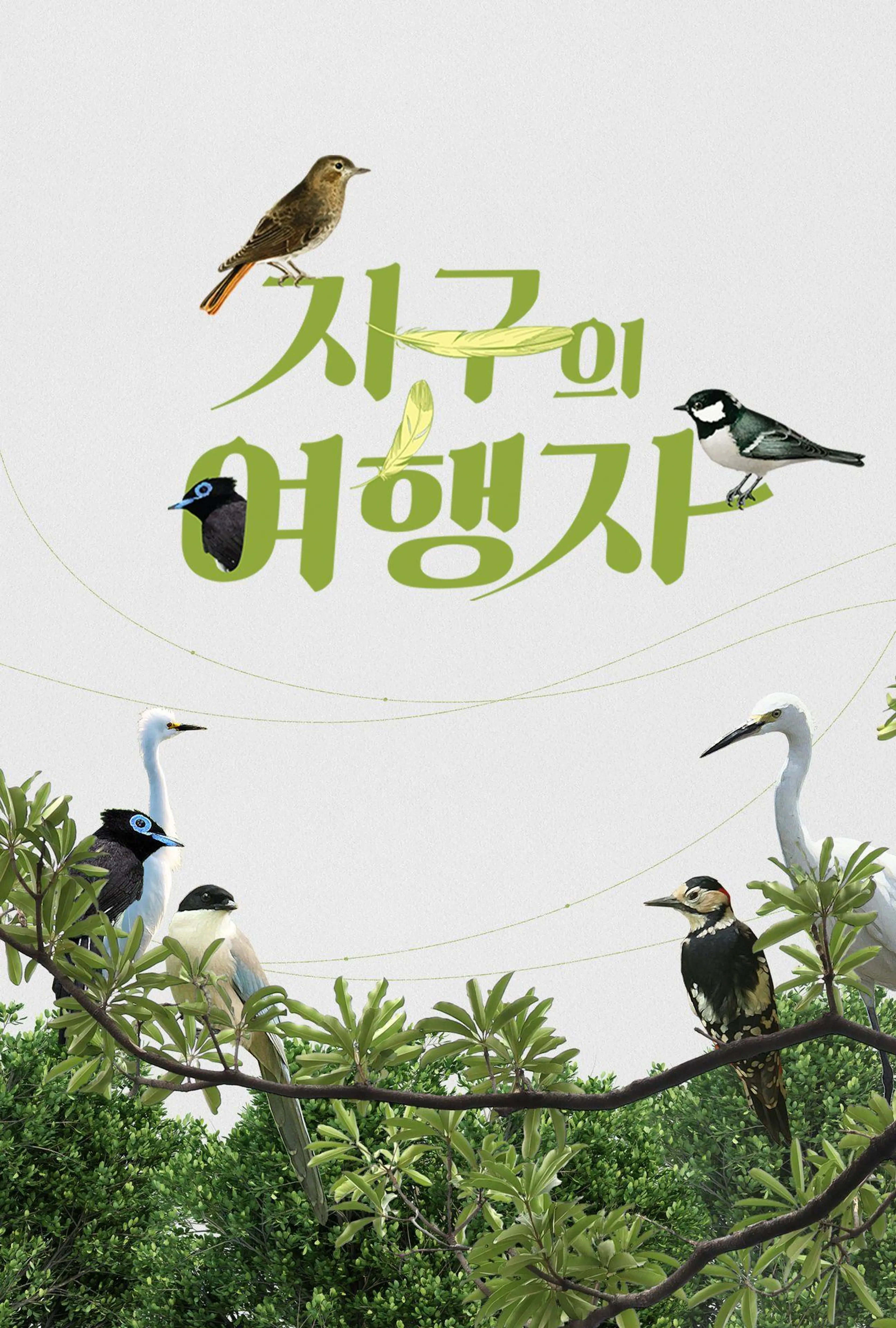 지구의 여행자