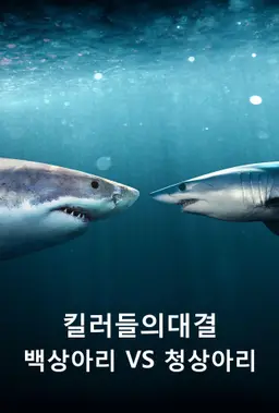 킬러들의 대결: 백상아리 vs 청상아리