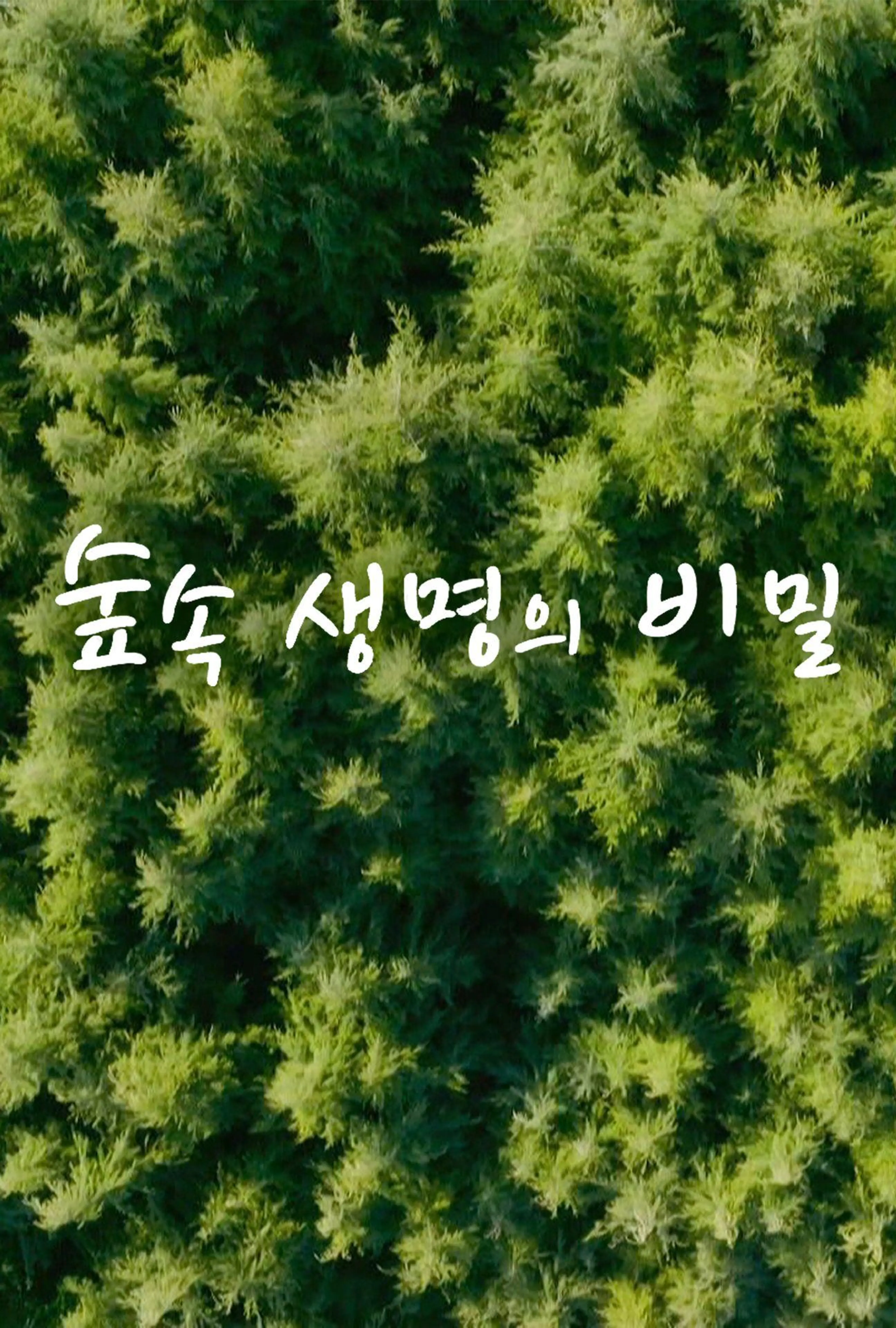 숲속 생명의 비밀