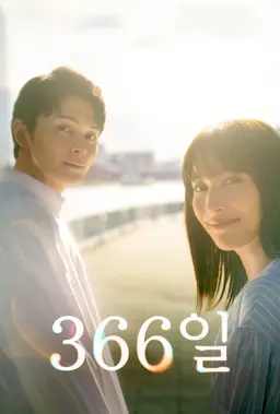 366일