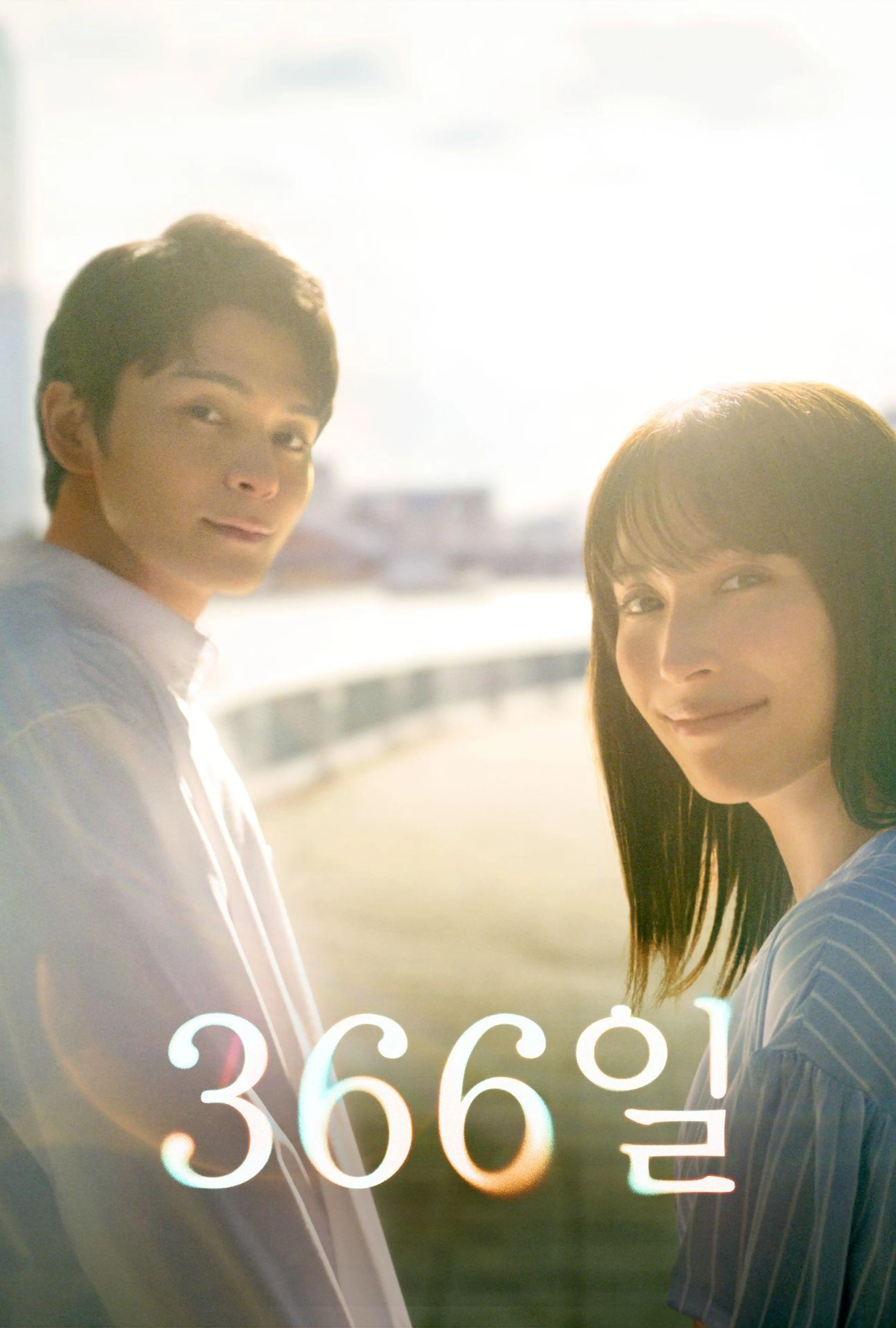 366일