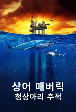 상어 매버릭: 청상아리 추적
