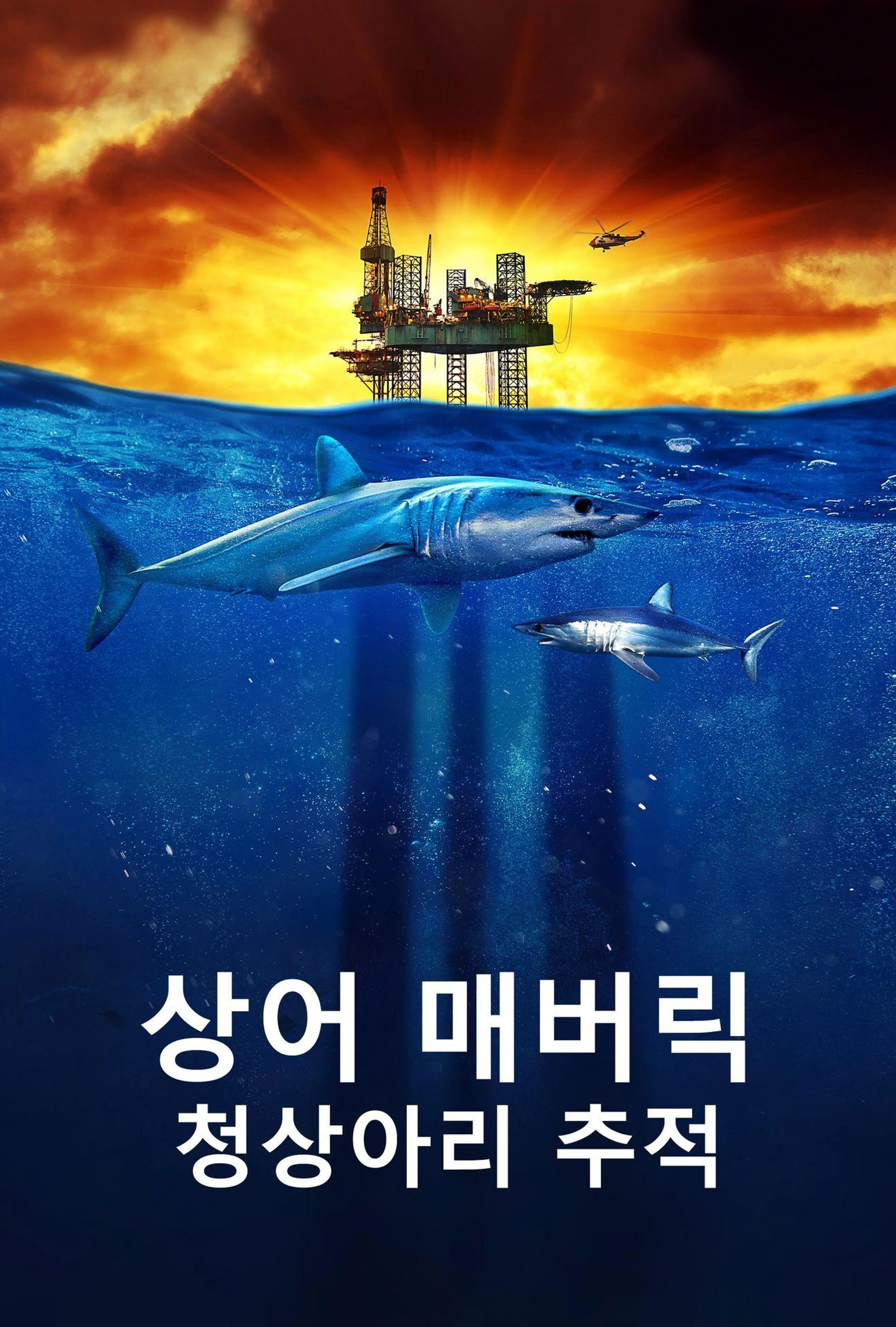 상어 매버릭: 청상아리 추적