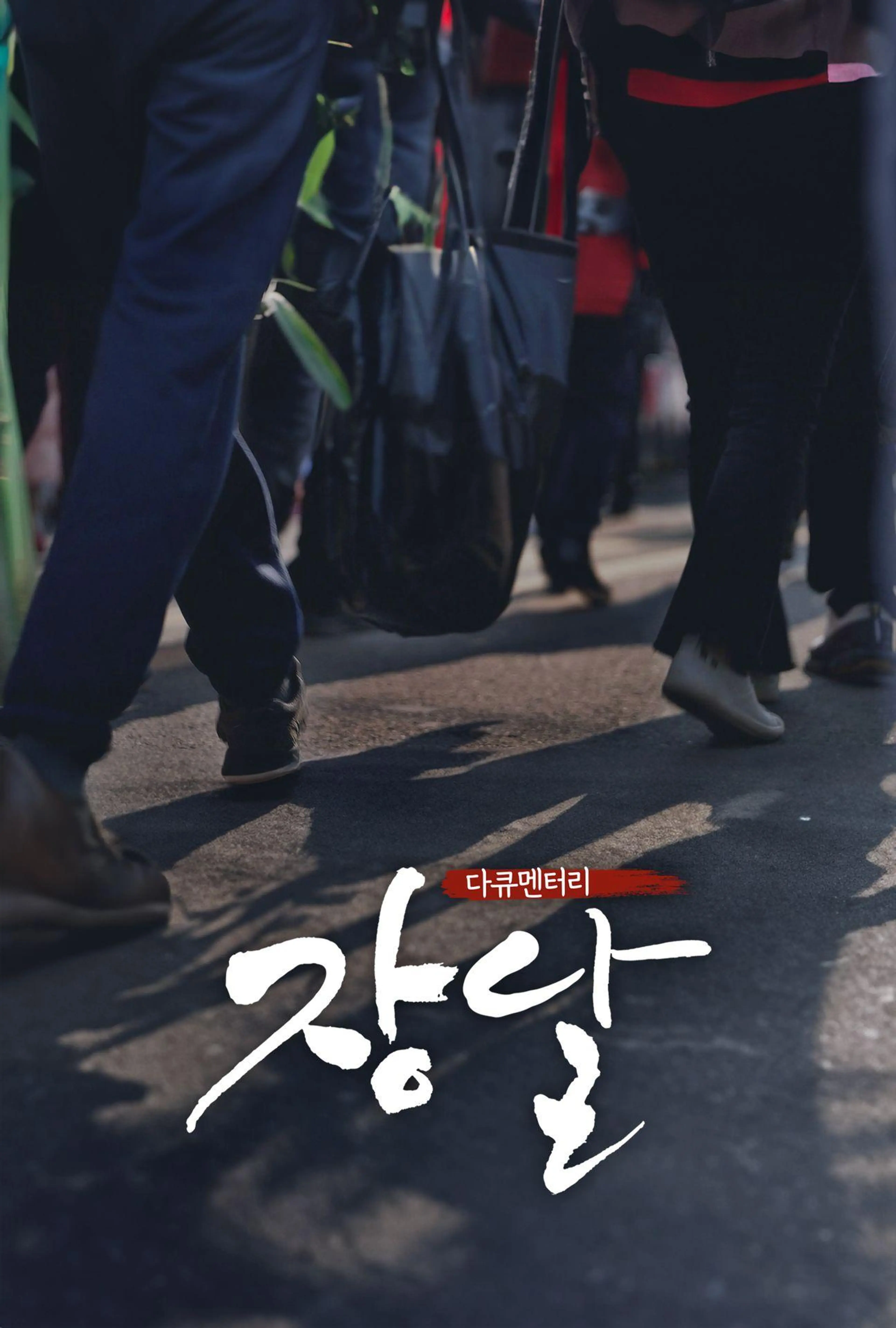다큐멘터리 장날