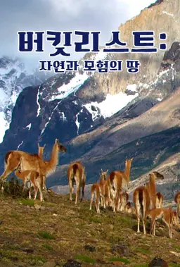 버킷리스트: 자연과 모험의 땅