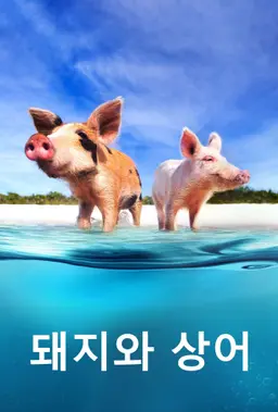 돼지와 상어