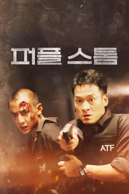 퍼플 스톰