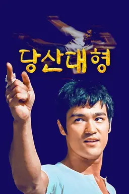 당산대형