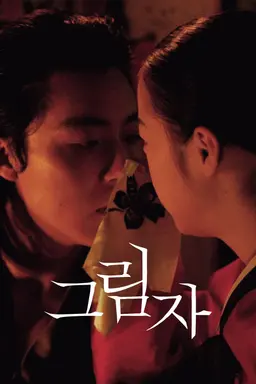 그림자