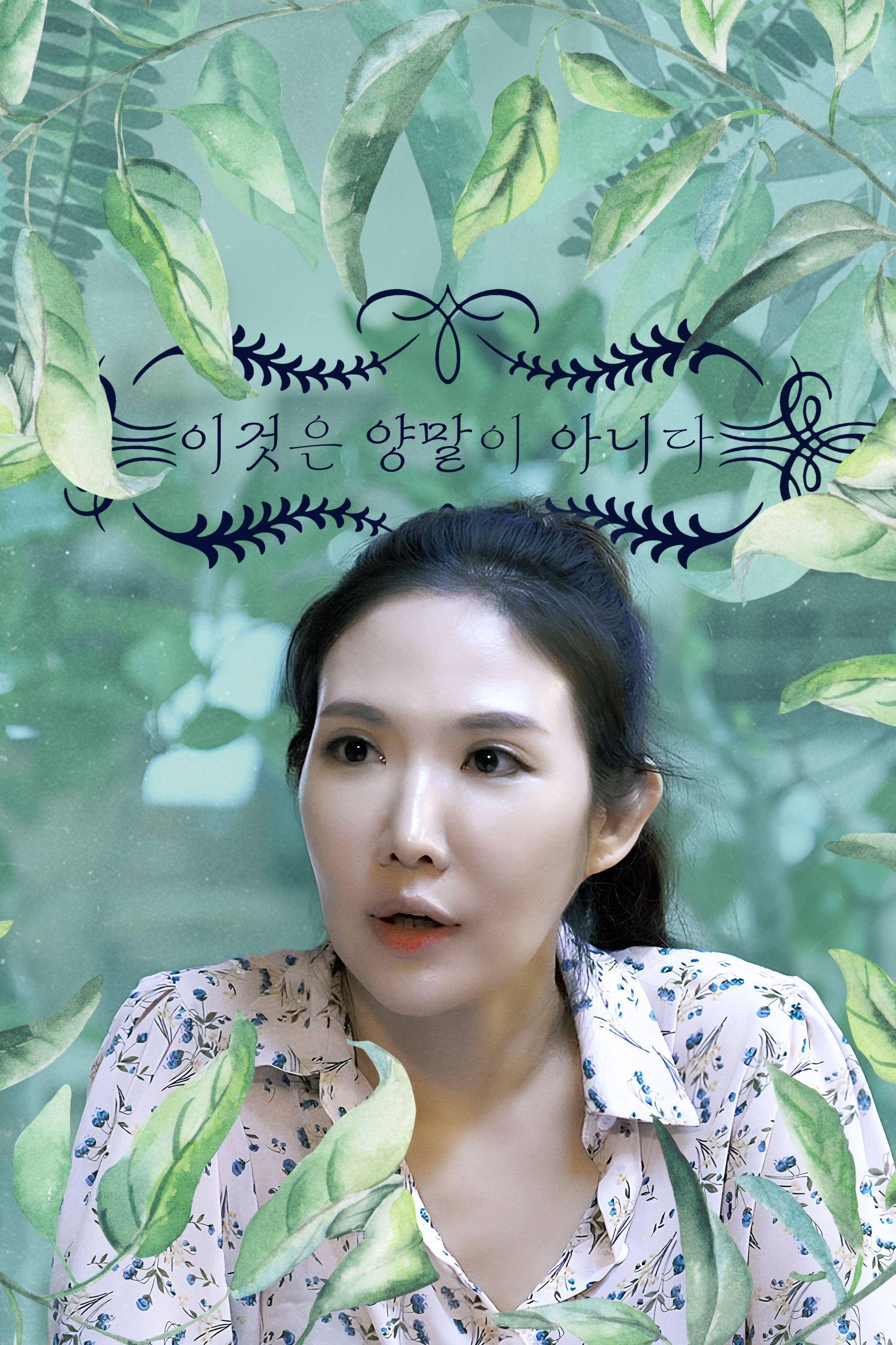 이것은 양말이 아니다