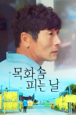 목화솜 피는 날