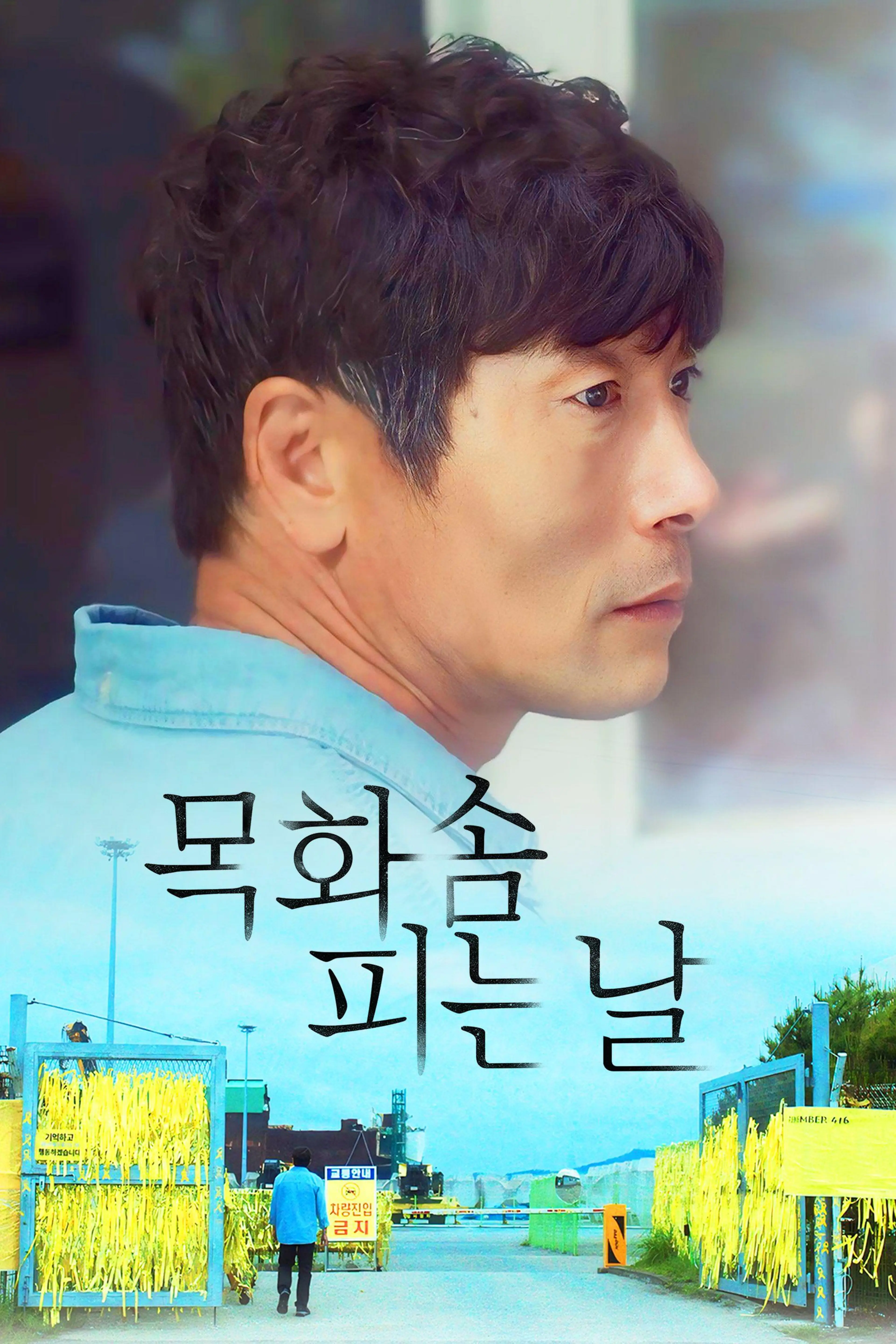 목화솜 피는 날